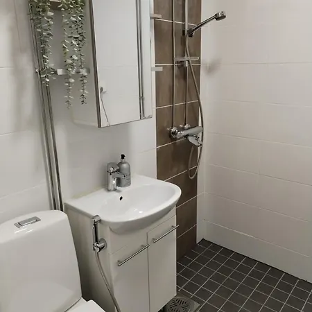 Apartamento Viihtyisae Yksioe Korialla